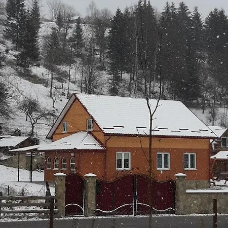 Гармонія Карпат *